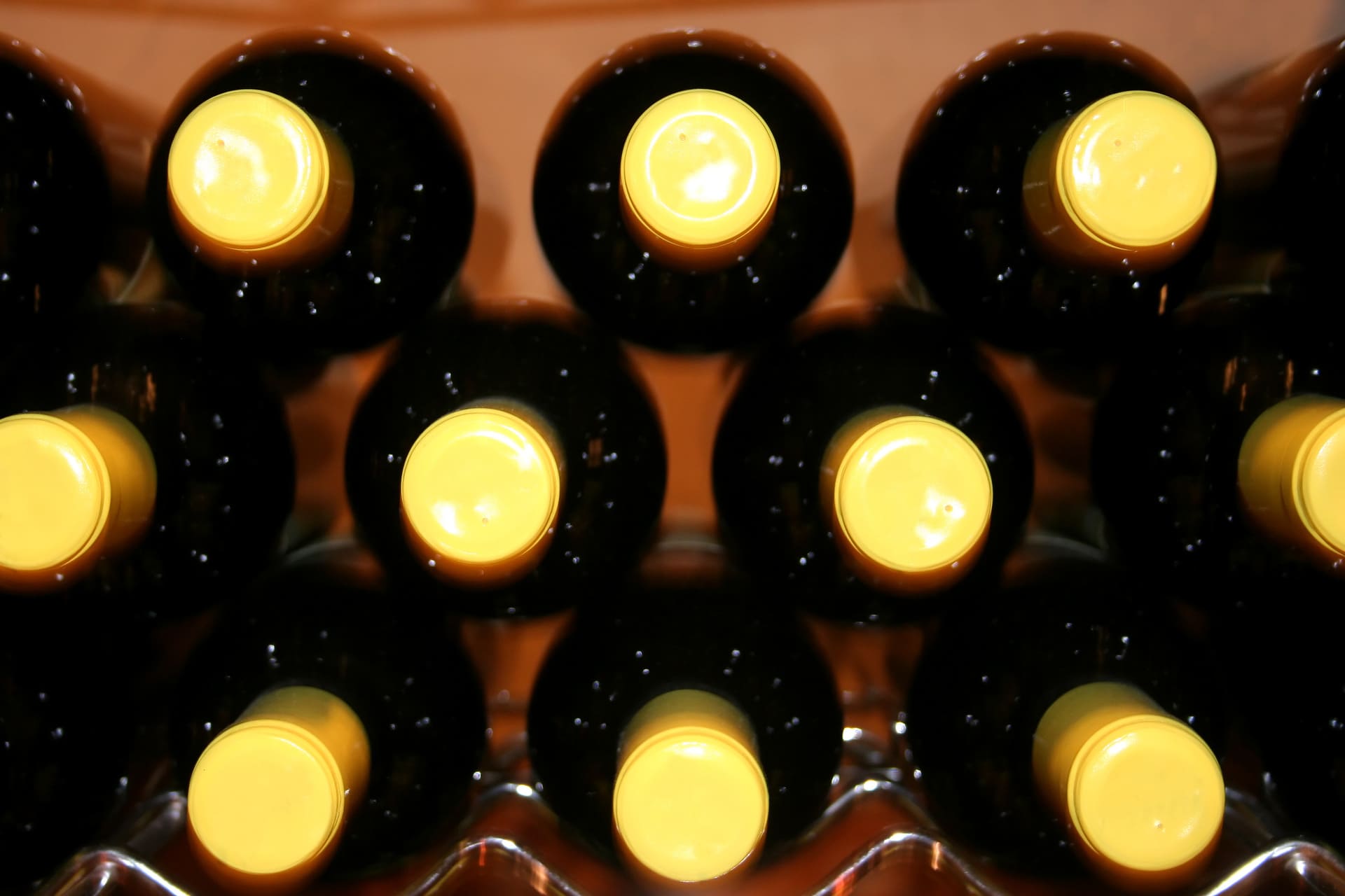 Tempranillo wine, wine bottles