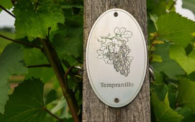 International Tempranillo Day