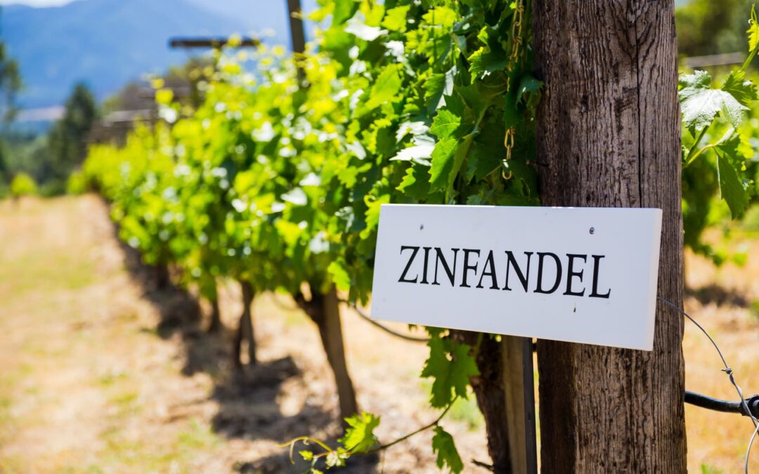 National Zinfandel Day