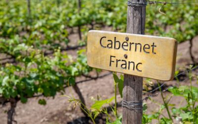 International Cabernet Franc Day: A Celebration of Elegance and Versatility